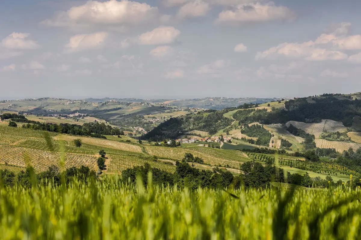 Torna ''Oltrepò Terra di Pinot Nero'' per promuovere il vitigno simbolo