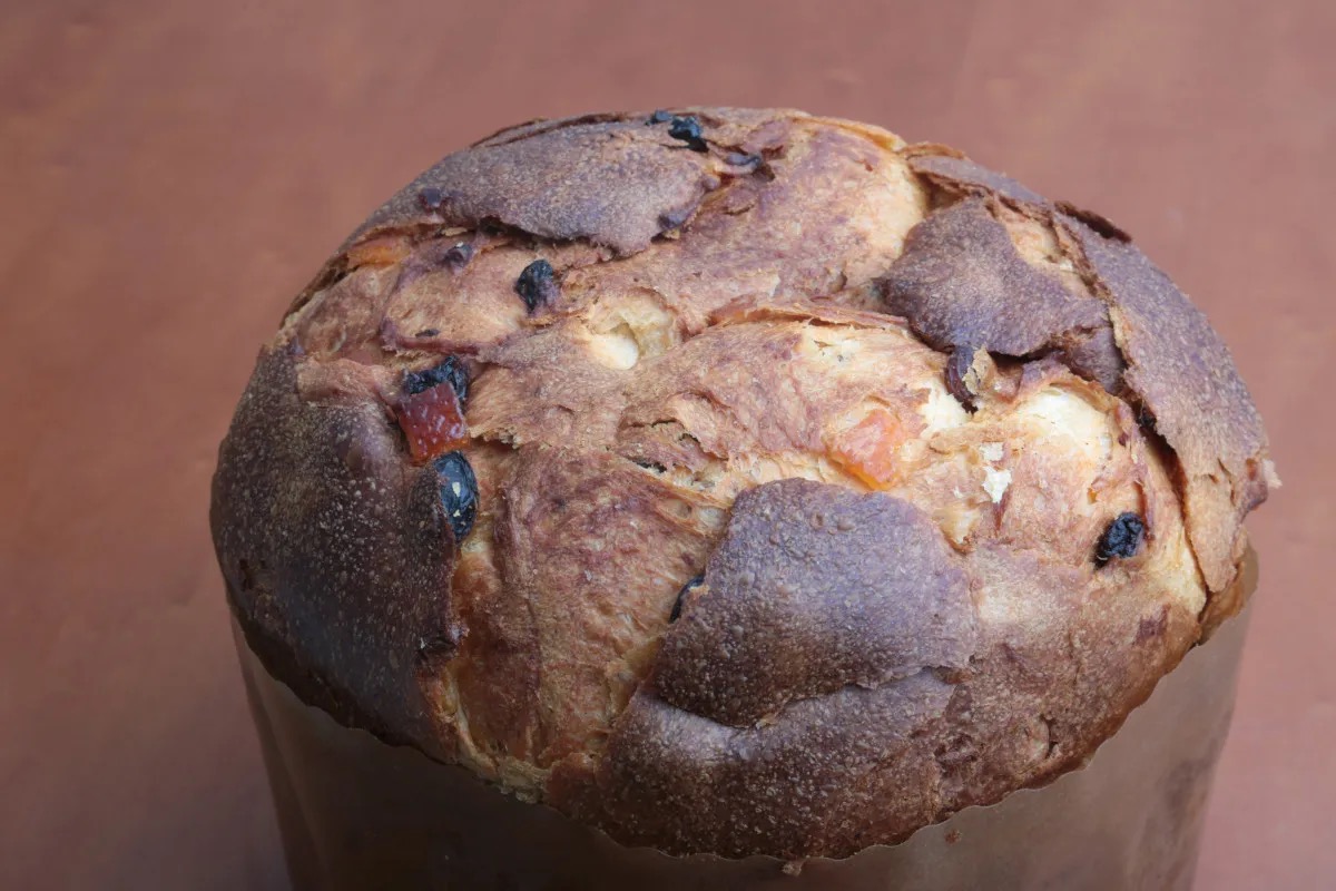 Re Panettone 2024: ecco i vincitori del concorso dedicato ai lievitati