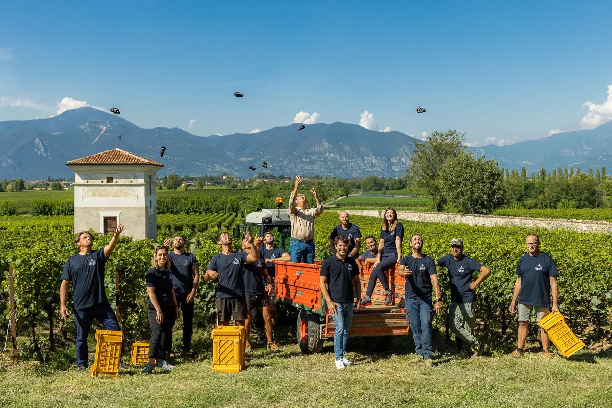 Berlucchi: una vendemmia 2024 all'insegna della sfida e dell'eccellenza