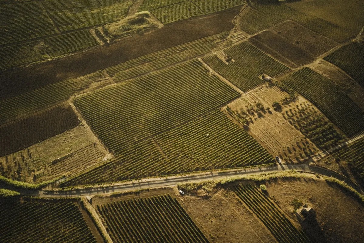 Cantina Brugnano: una nuova generazione verso la sostenibilità