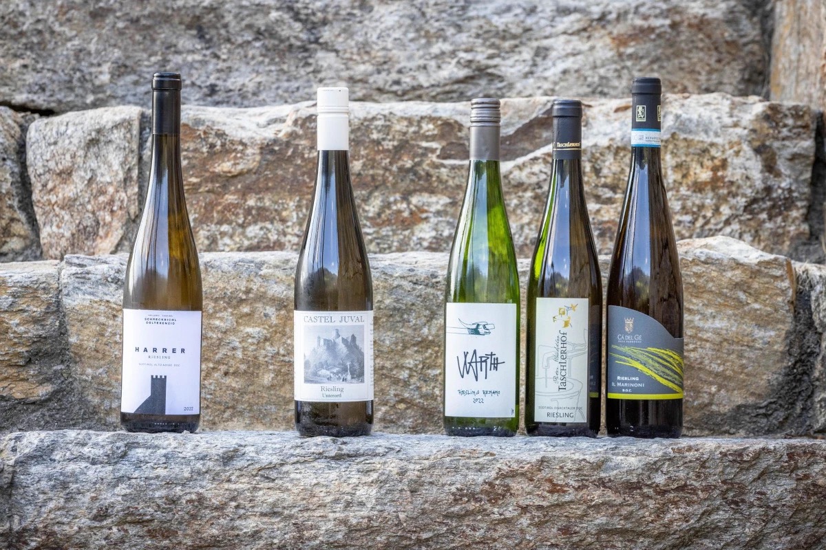 Concorso nazionale del Riesling, ecco i vincitori: trionfa l'Alto Adige