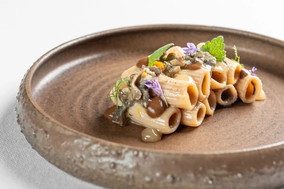  Ca' Apollonio Heritage: tra ospitalità green, alta cucina e vino di qualità