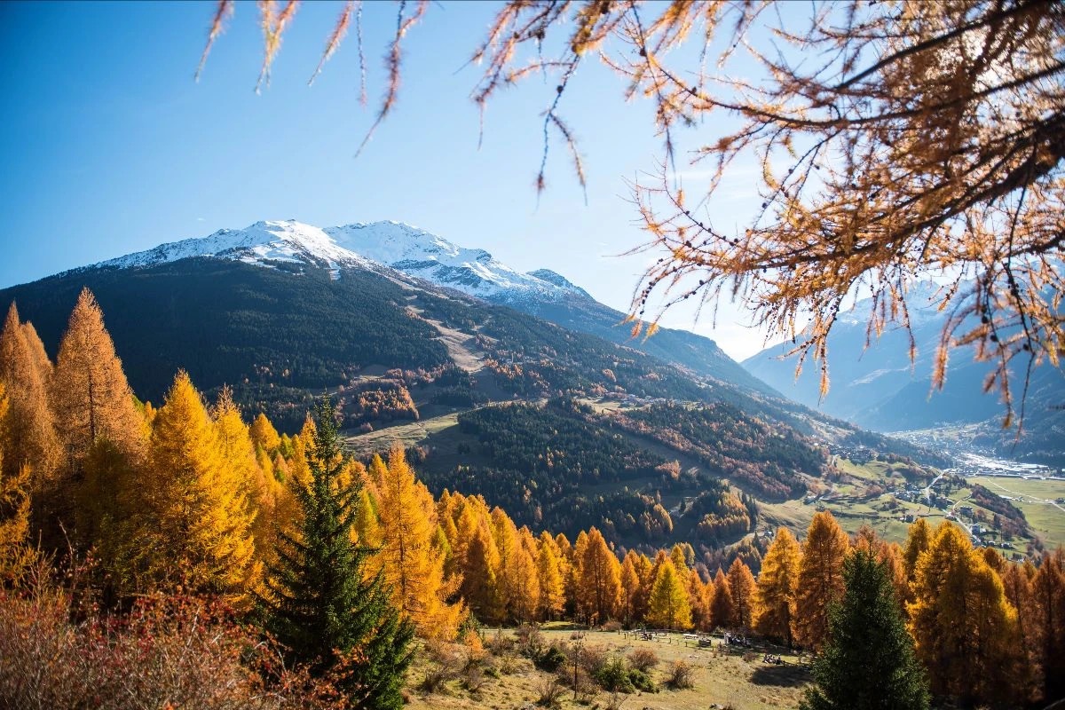 Scopri Bormio in autunno all'insegna della natura e delle tradizioni