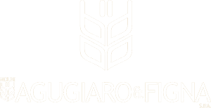 Agugiaro & Figna