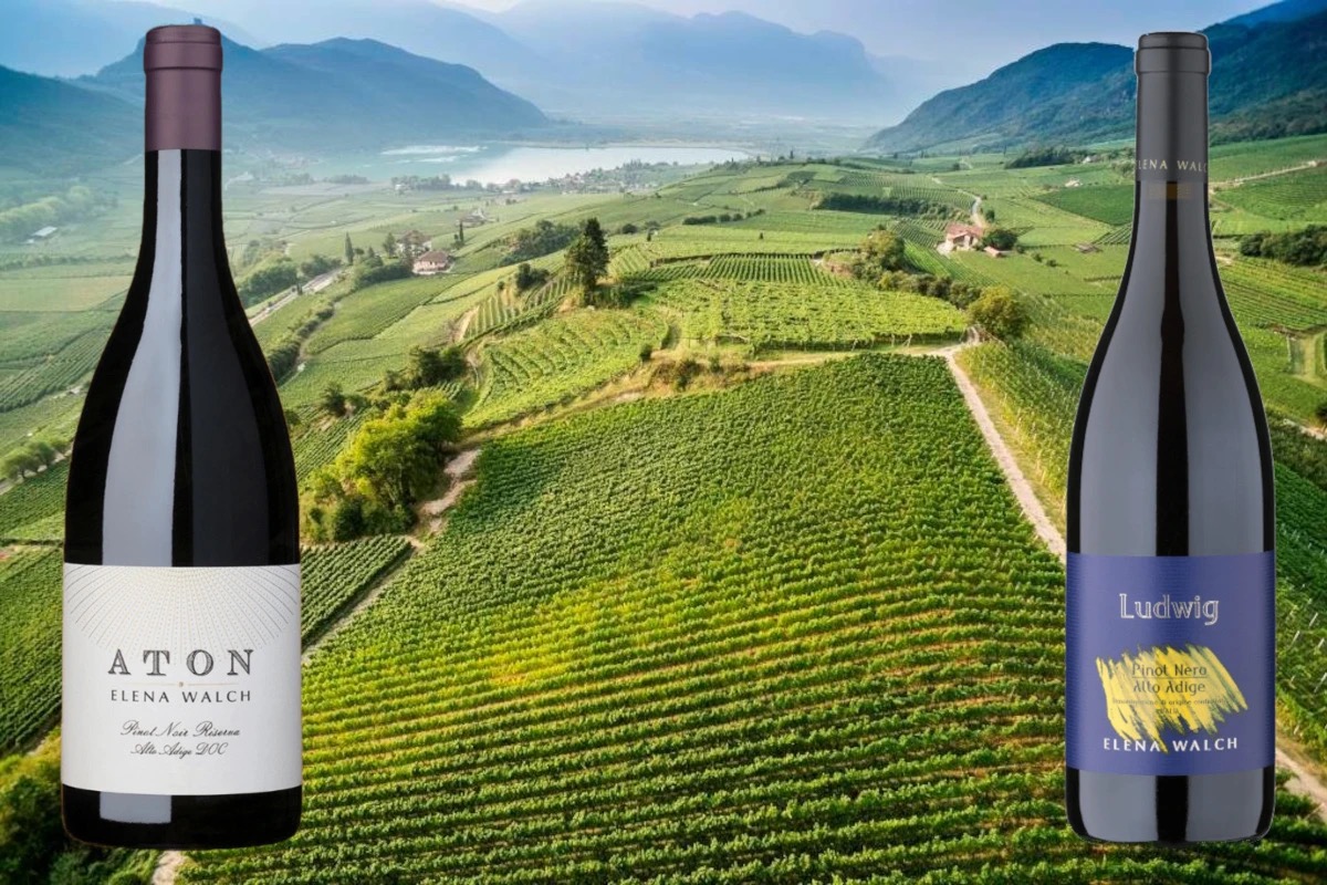 Pinot Noir ''Ludwig'' e ''Aton'': alla scoperta dei vini della cantina Elena Walch