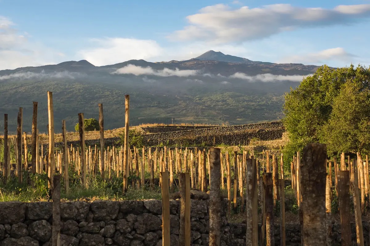 Etna: il vulcano che resiste, conquista gli USA e sfida il mercato