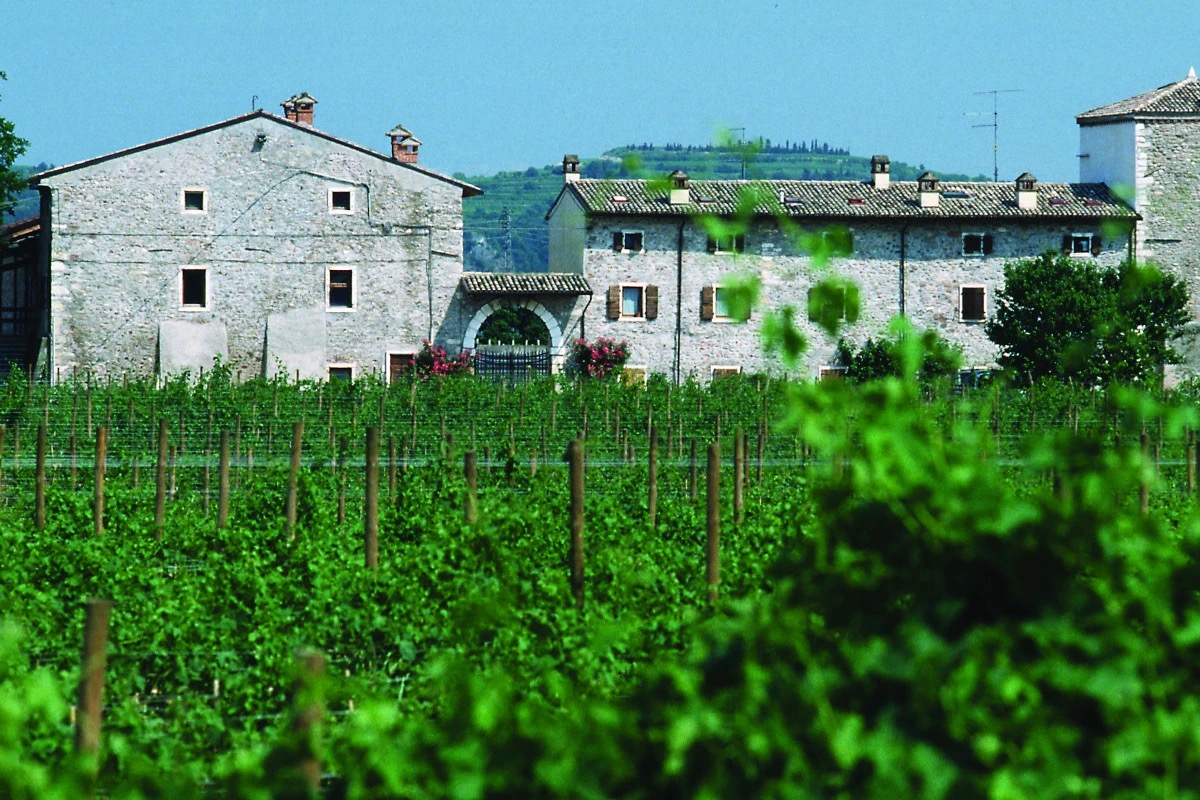 Inseguendo le tracce rosa di Matilde Poggi, regina del Bardolino Chiaretto