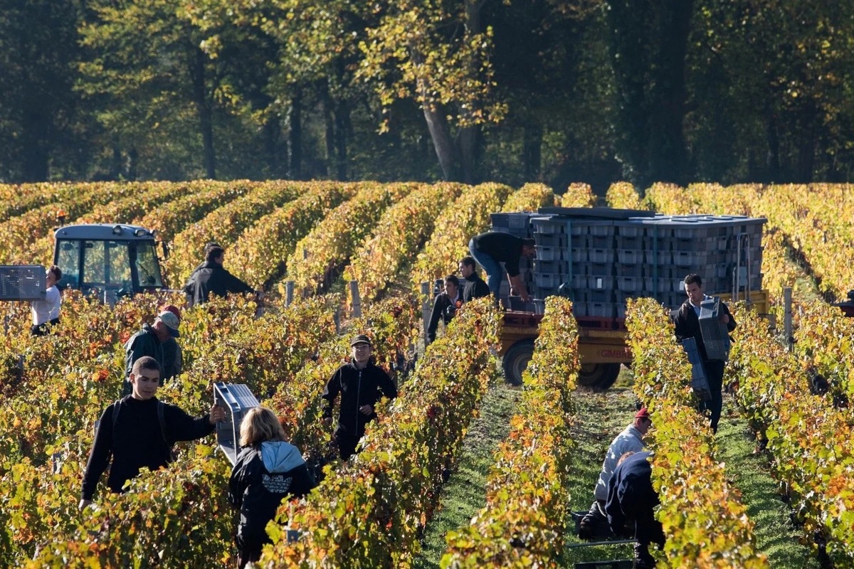 Bordeaux in piena tempesta: il sistema En Primeur va ripensato?