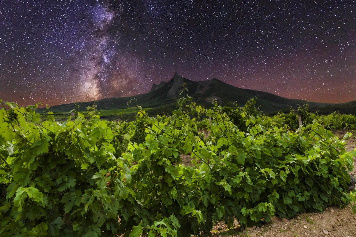 Calici di Stelle 2024: un mese di eventi tra mito, scienza, cultura e vino