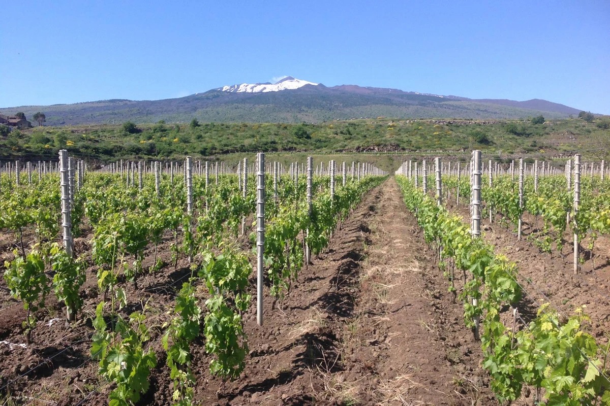 Etna Days, un brindisi internazionale ai vini del vulcano siciliano