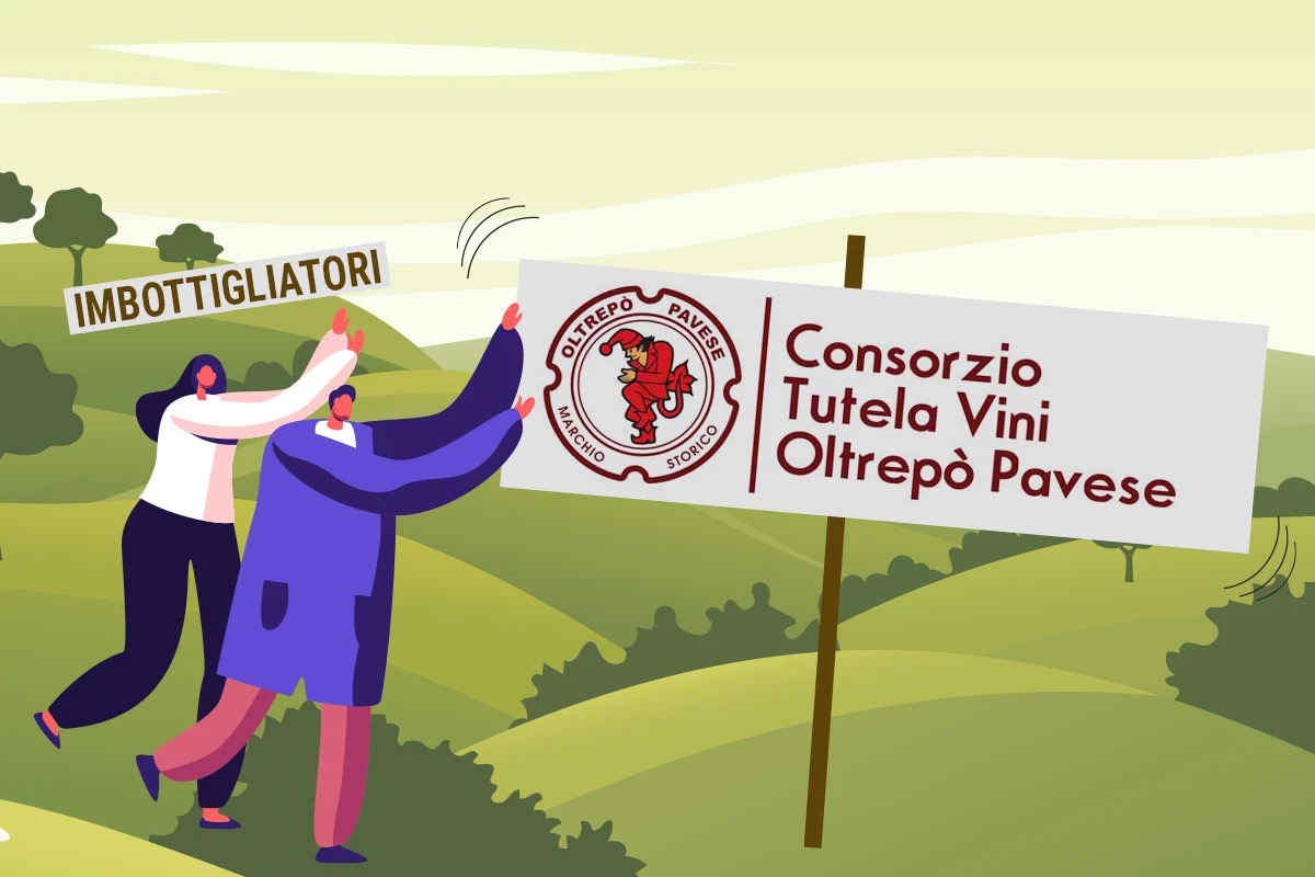 Consorzio Vini dell'Oltrepò: si dimettono dal consiglio gli imbottigliatori. Ecco il perchè e le dichiarazioni. La maggioranza: «Chiediamo lealtà»